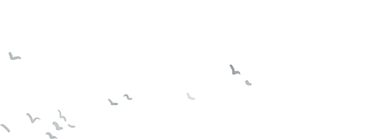 墨韵山海•笔润童心|《国学智慧与精神家园》课堂活动招募啦! 68f0560a3070a 墨韵山海•笔润童心|《国学智慧与精神家园》课堂活动招募啦! 68f0560a3070a