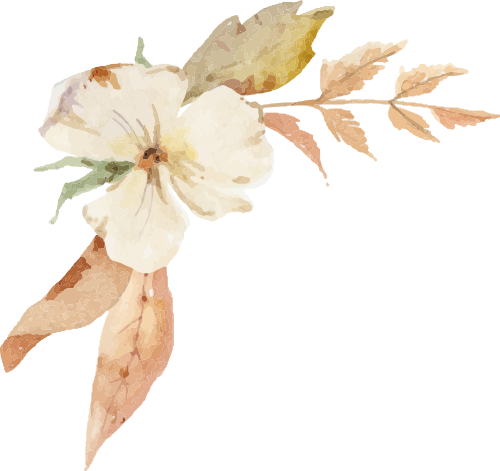 展讯丨2025.12.3–2026.1.4镜头里的诗意山河----纪念中国致公党成立100周年王超鲁摄影作品展 图片