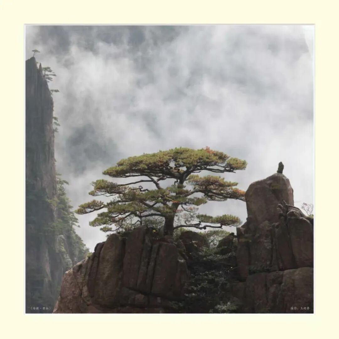 展讯丨2025.12.3–2026.1.4镜头里的诗意山河----纪念中国致公党成立100周年王超鲁摄影作品展 图片