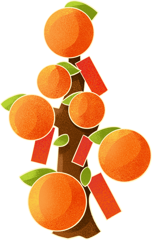 青会艺境沙龙（第五期）｜非遗贺春 “柿” 事如意挂饰手作 图片