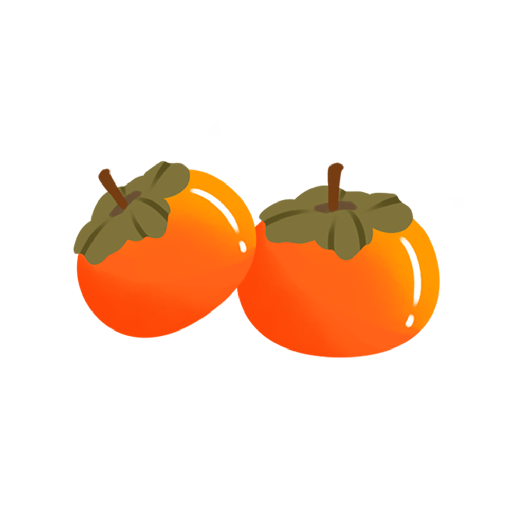 青会艺境沙龙（第五期）｜非遗贺春 “柿” 事如意挂饰手作 图片